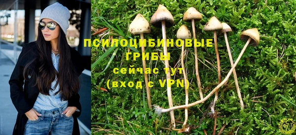 MDMA Premium VHQ Белокуриха