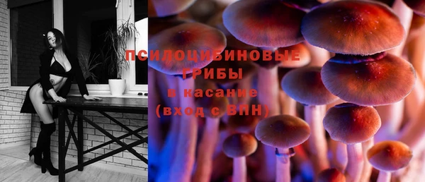 MDMA Premium VHQ Белокуриха