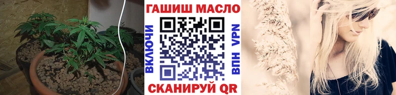 где купить   Куртамыш  гидра зеркало  Дистиллят ТГК концентрат 